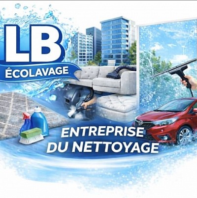 Nettoyage de canapés, tapis moquettes, matelas, vitres,immeuble ,appartement,maison et autres structures.