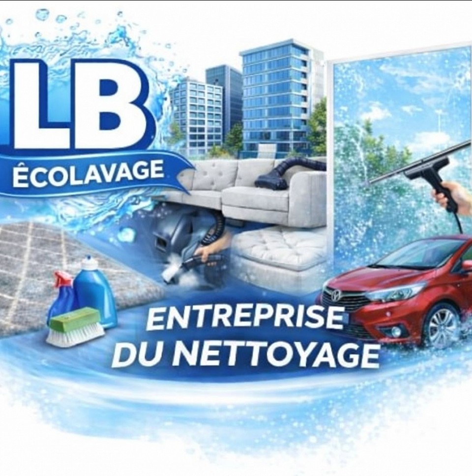 Nettoyage de canapés, tapis moquettes, matelas, vitres,immeuble ,appartement,maison et autres structures.